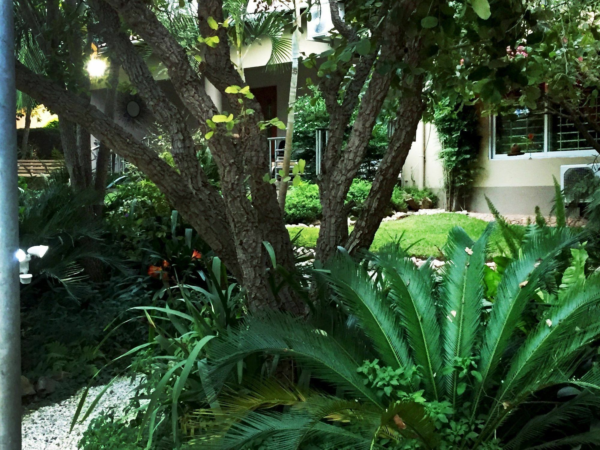 Palmwood Lodge Лусака Екстер'єр фото